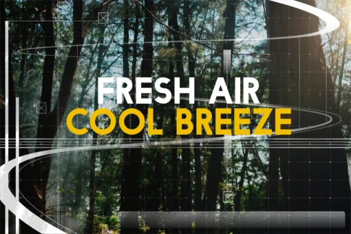 Vinilo adhesivo decorativo